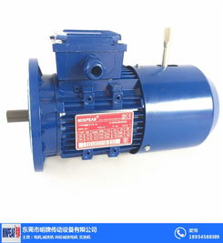 單相異步電動機接線圖 揭陽單相異步電動機 明牌傳動工廠